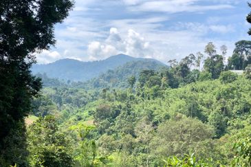 Newly listed River Plot in Tanarimba, Janda Baik for Sale