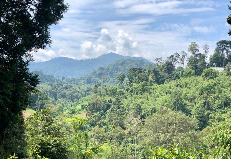 Newly listed River Plot in Tanarimba, Janda Baik for Sale