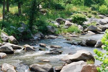 Tanarimba, Janda Baik is where you adopt the pace of nature