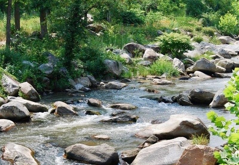 Tanarimba, Janda Baik is where you adopt the pace of nature