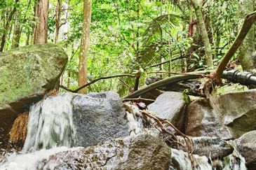 Newly listed River Plot in Tanarimba, Janda Baik for Sale