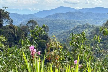 Newly listed River Plot in Tanarimba, Janda Baik for Sale