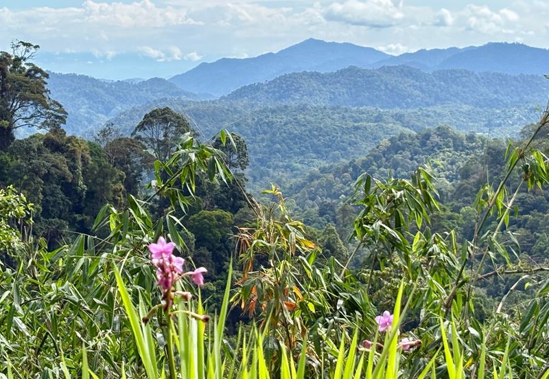 Newly listed River Plot in Tanarimba, Janda Baik for Sale