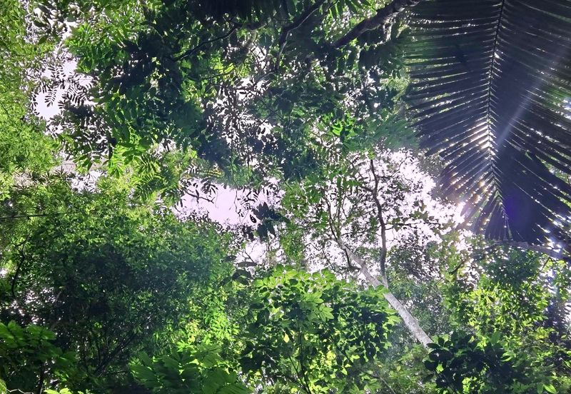 Newly listed River Plot in Tanarimba, Janda Baik for Sale