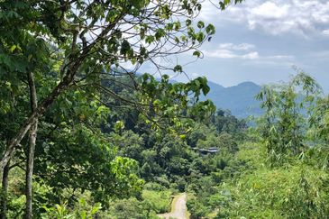 Newly listed River Plot in Tanarimba, Janda Baik for Sale