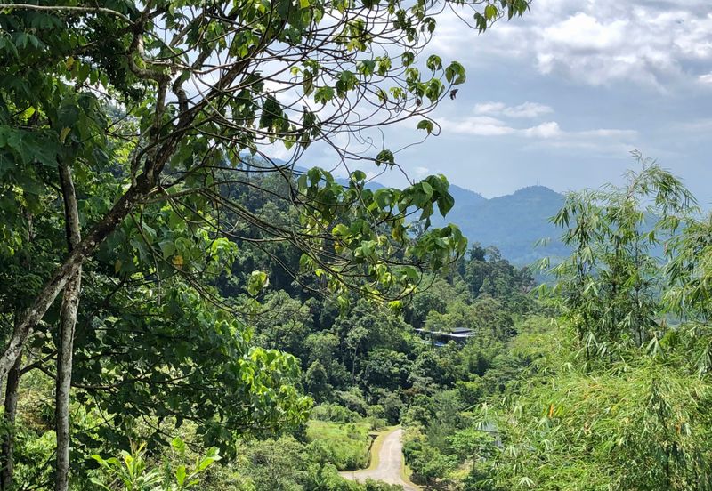 Newly listed River Plot in Tanarimba, Janda Baik for Sale