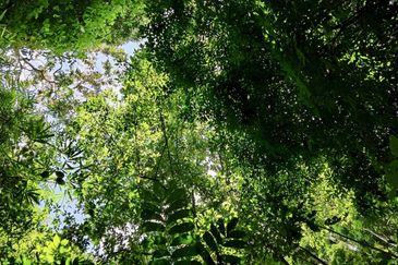 Newly listed River Plot in Tanarimba, Janda Baik for Sale