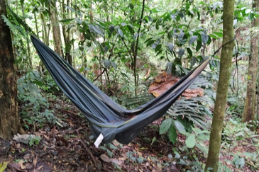 Newly listed River Plot in Tanarimba, Janda Baik for Sale