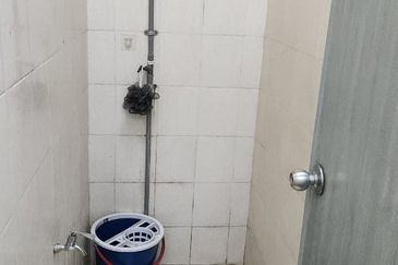 Platinum Mondrian (Pv128)