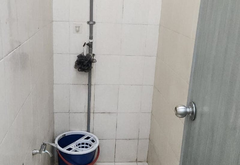 Platinum Mondrian (Pv128)