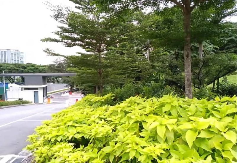 Bukit Gasing, Seksyen 5