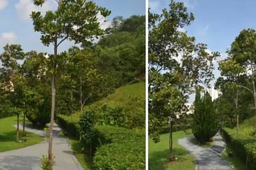 Bukit Gasing, Seksyen 5