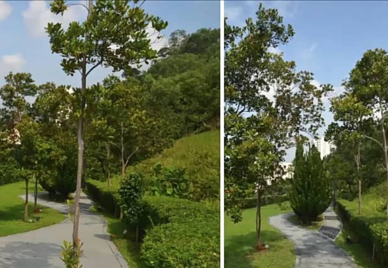 Bukit Gasing, Seksyen 5