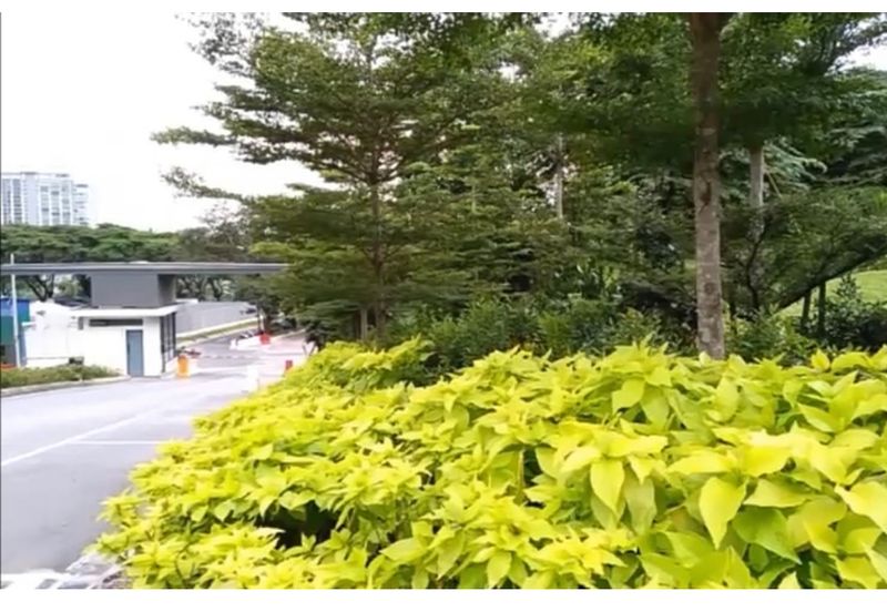 Bukit Gasing, Seksyen 5