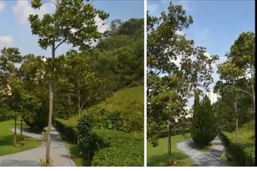 Bukit Gasing, Seksyen 5