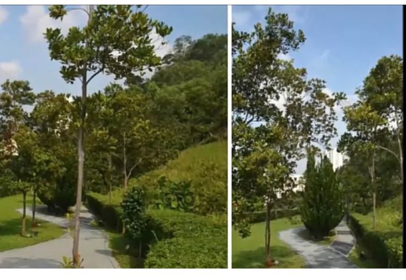 Bukit Gasing, Seksyen 5