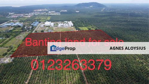 🏝️Banting Land for sale, Selangor, Banting