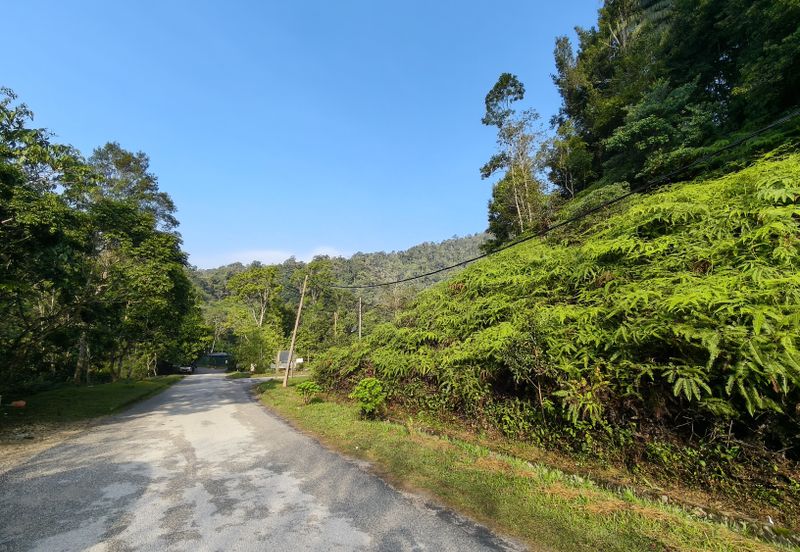 Genting View Bungalow