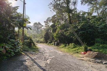 Genting View Bungalow