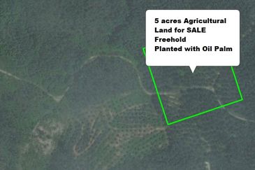 Sungai Tangas, Bangi