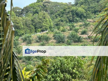 23 acres Palm Oil Agriculture Land, Mersing, Johor, Mersing