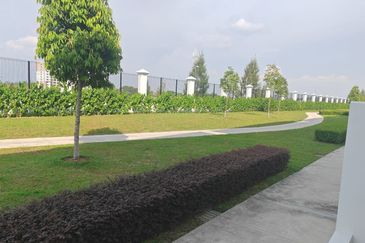 Eco Botanic