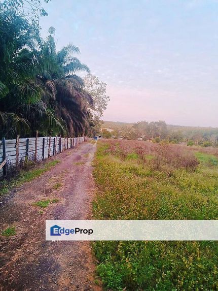 9.75 acres Agricultural Land @ Rm17 at Plentong, Johor Bahru, Johor, Johor Bahru