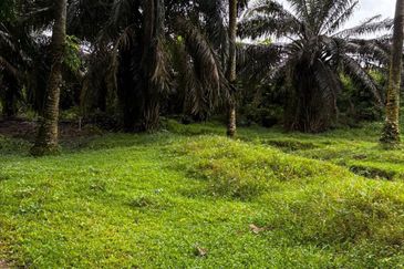 Taman Perindustrian Senai
