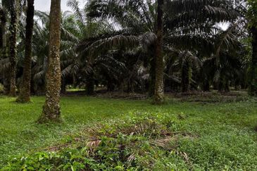 Taman Perindustrian Senai