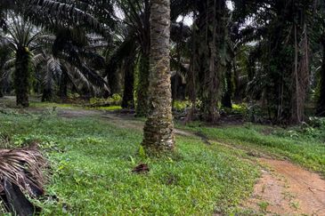 Taman Perindustrian Senai