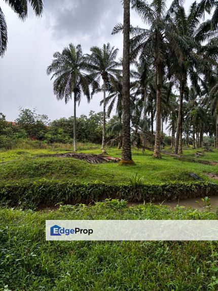 103 Acre Data Center Industrial Seelong , Senai (iPark@Senai Airport City, Senai-Kulai), Johor, Senai