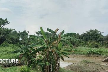 Permatang Pauh
