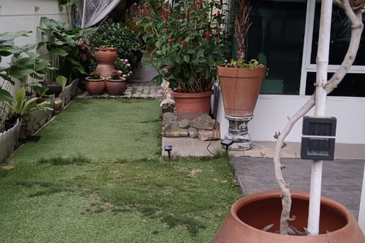 Tree Residency @ One Residence