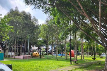 Lake Fields - Meadows and Glades