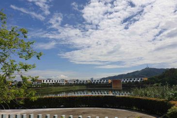 The Grove @ Lake Fields