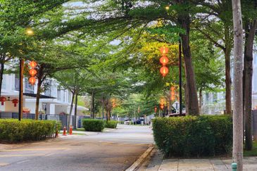 The Grove @ Lake Fields