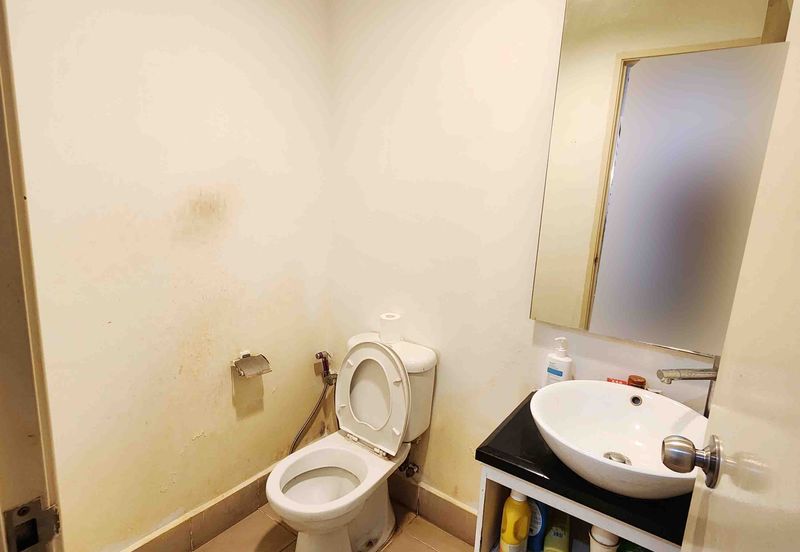 Lake Fields - Meadows and Glades