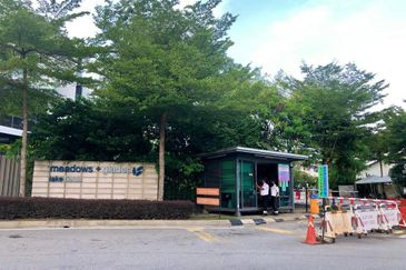 Lake Fields - Meadows and Glades