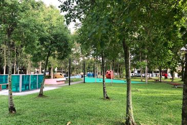 Lake Fields - Meadows and Glades