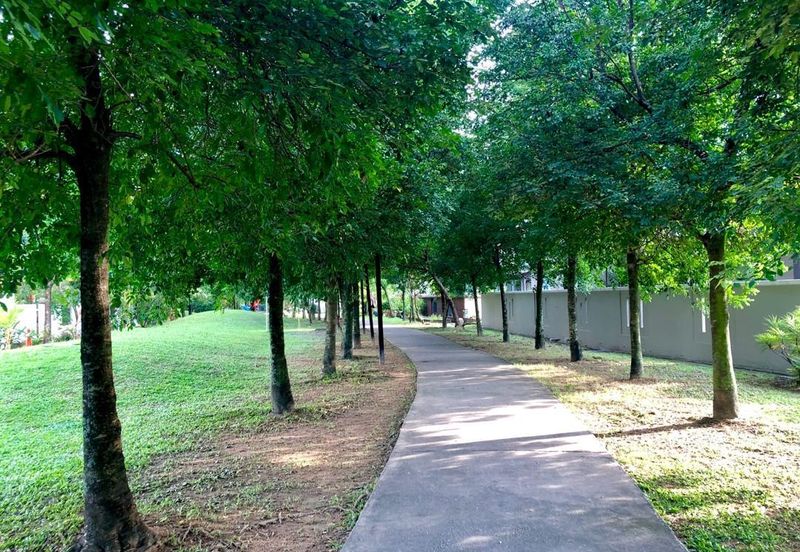 Lake Fields - Meadows and Glades