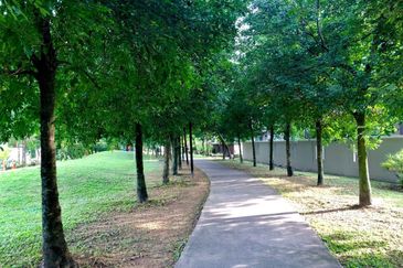 Lake Fields - Meadows and Glades