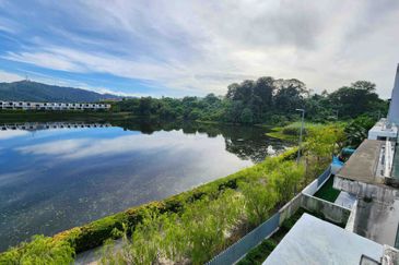 The Grove @ Lake Fields