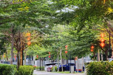 The Grove @ Lake Fields