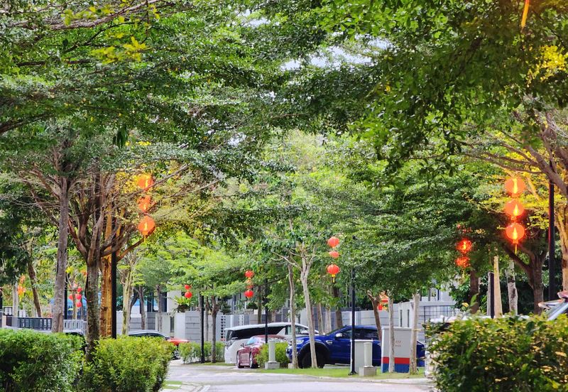 The Grove @ Lake Fields