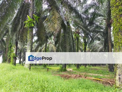 Senai Industrial Land with LPG line for sales, Johor, Senai