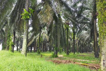 KAW PERINDUSTRIAN SENAI 3