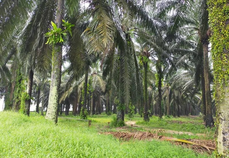 KAW PERINDUSTRIAN SENAI 3