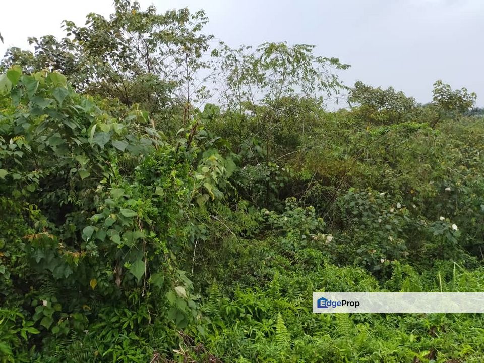 Seelong Agriculture Land For Sales, Johor, Senai