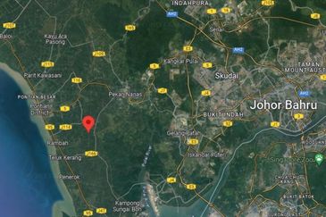 Pekan Nenas , Johor Agriculture Land For Sales