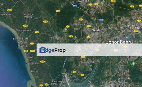 Pekan Nenas , Johor Agriculture Land For Sales, Johor, Pontian